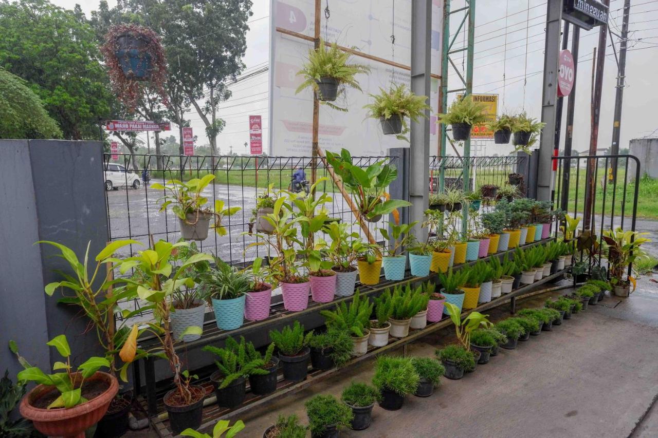Oyo 3746 Double Tree Guesthouse Purwokerto Zewnętrze zdjęcie